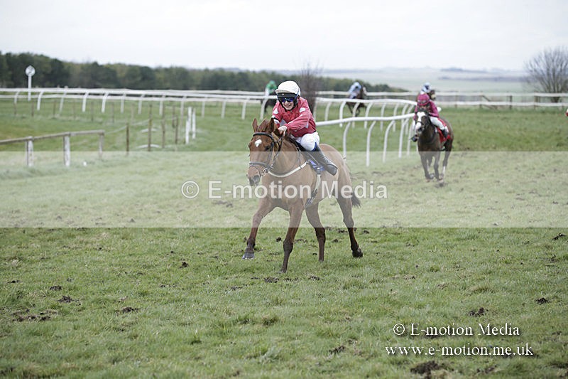 PtP 150320 0857 - New Forest Point-to-Point Larkhill 15/03/20