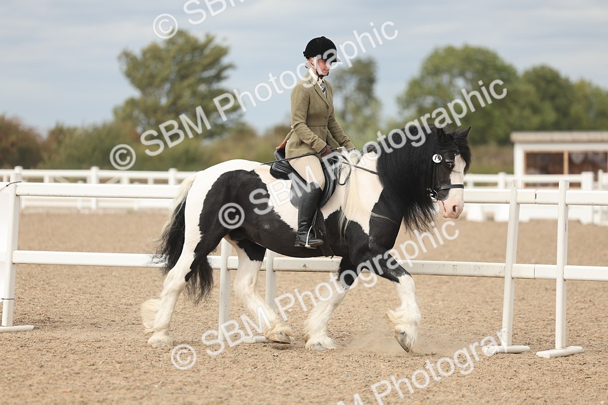 SBM_17989 - Class 314 - Family Horse Pony