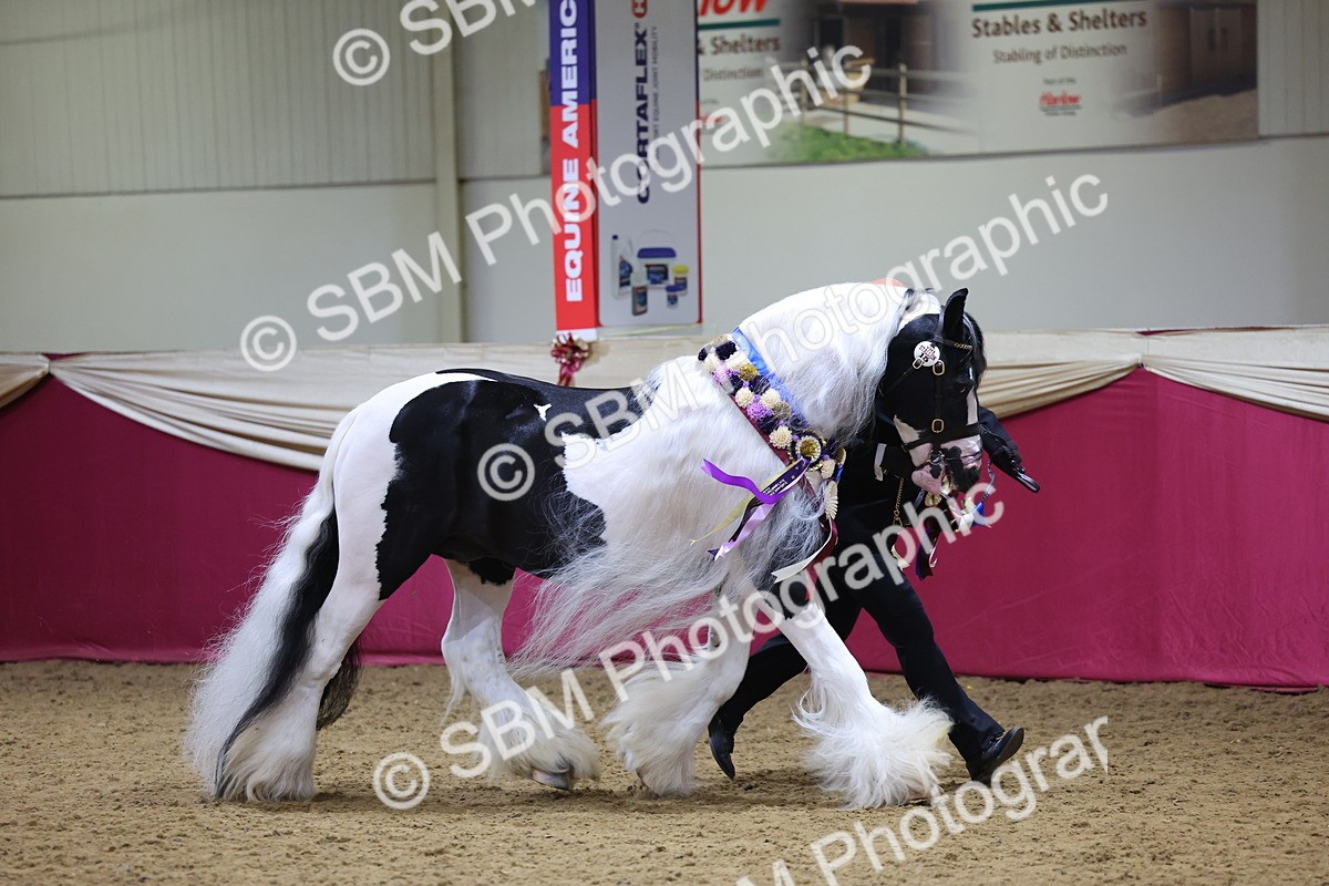 SBM_18660 - Class C Best Turned Out Champ