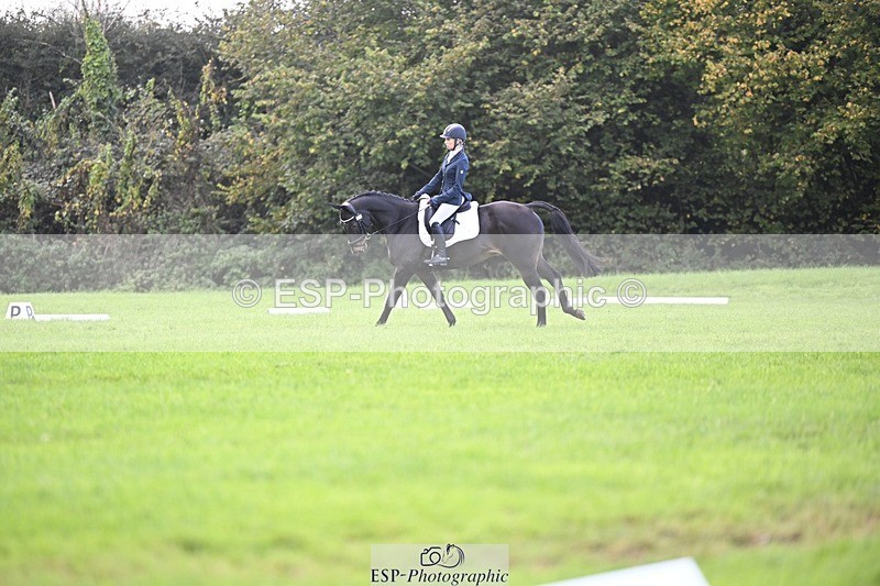 241025-094356-05613 - 353-Cheryl.Beer-LANGALLER.ALPHA.BRAVO