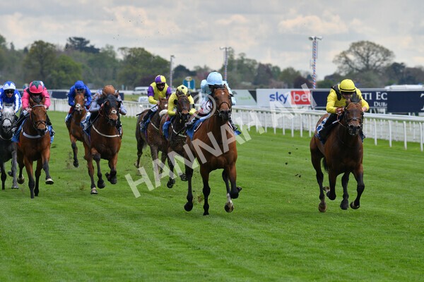 yr12052021r3-14 - Race 3 2.40pm Duke of York Clipper Logistics Stakes