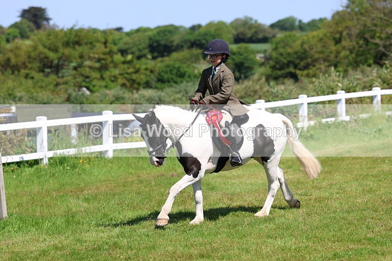 3E7A6768 - Working Hunter Pony Championship