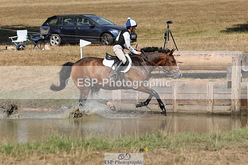 250824A-145319-39141 - 2147-George.Walford-meadow.sweet.conker