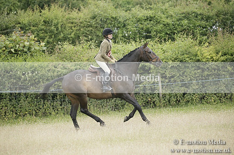 B230619-0977 - Bourne Valley Riding Club Summer Show 23/06/19
