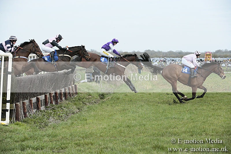 PtP 230319 191 - VWH Hunt Siddington Point-to-Point Racing 23/03/19