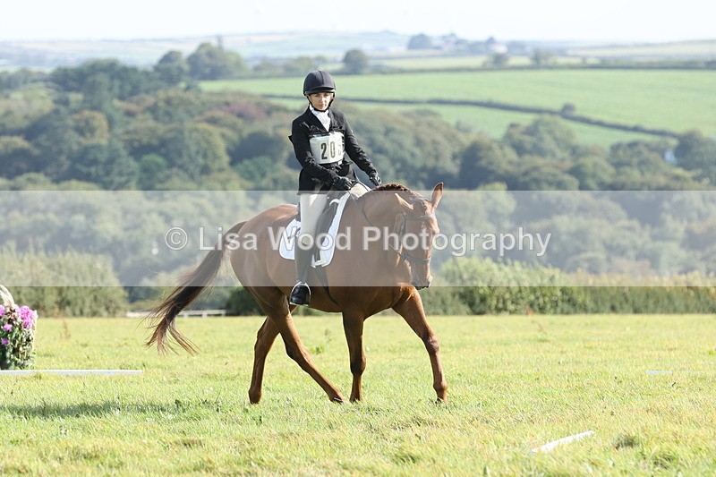 JPP_8039 - Class 2A: Trekenning Open: Dressage