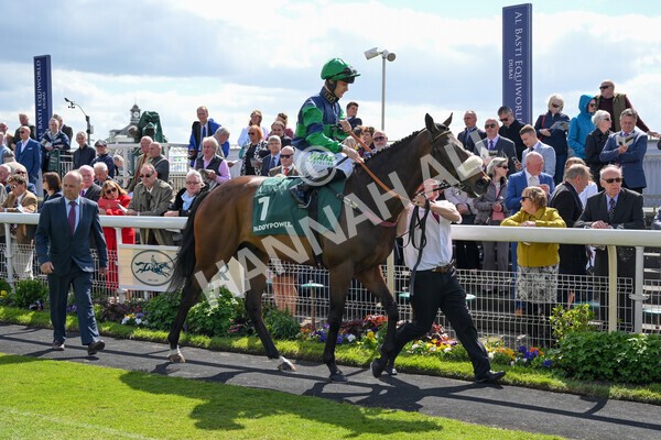 yr12052022r3-6 - Race 3 3.00pm The Paddy Power Hambleton Stakes