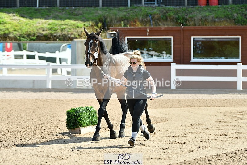 230719A-112411-00017 - Trot Up 11am to 12pm