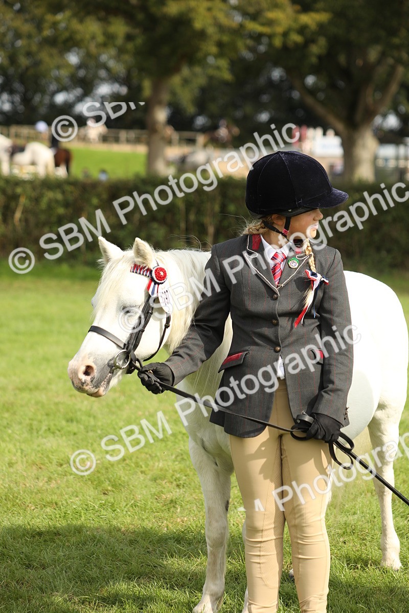 SBM_68680 - S40 - Junior Handler 9-12 Years