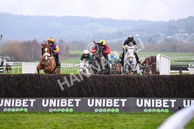 131224-Race 5-Dashel Drasher-9340 - Race 5