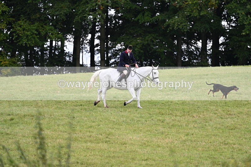 WJ7_4025 - Camera 1 Line 2