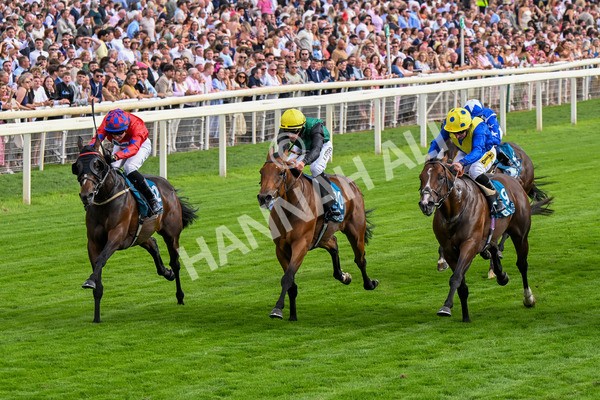 260725-Race 7-Chesneys Charm-0904 - Race 7 5.00pm Sky Bet Extra Places Every Day Handicap