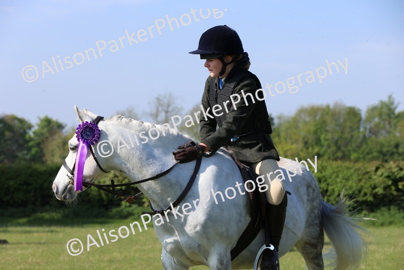 20250427-0596 - Class 17 - Novice Showing