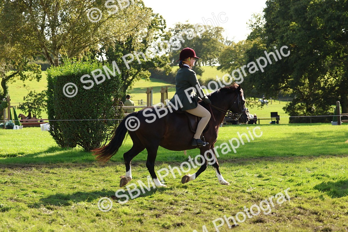 SBM_52383 - S13 - Pony Club Pony