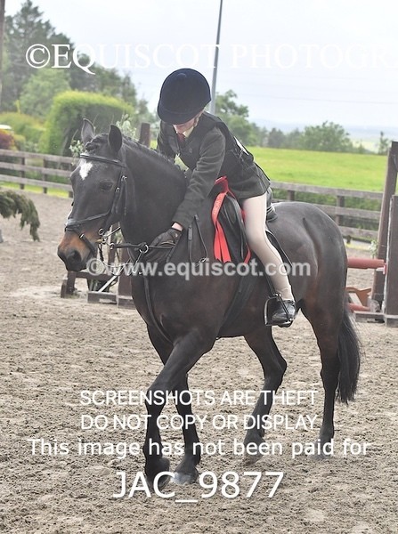 JAC_9877 - CLASS 2 Novice Working Hunter (0.60m - 0.70m)