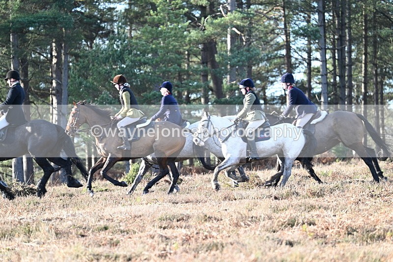 WJ7_7049 - Line 3 (no line 4 or 5)