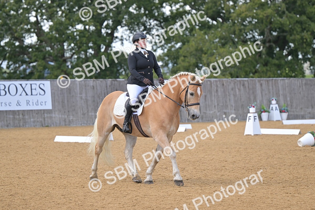 SBM_11131 - D3 - Small Tour Championship Intro 3