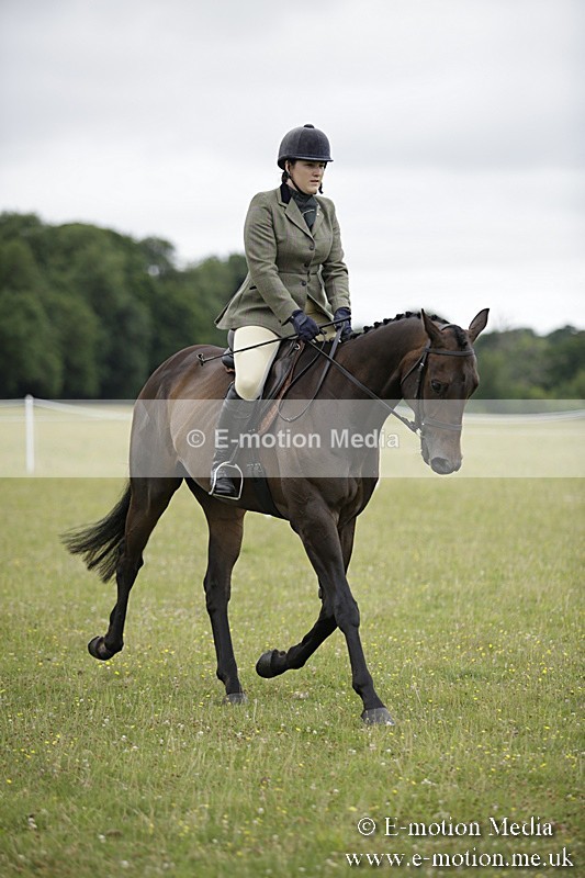 BVR160717-463 - Ring 1 BVRC Show 16/07/17