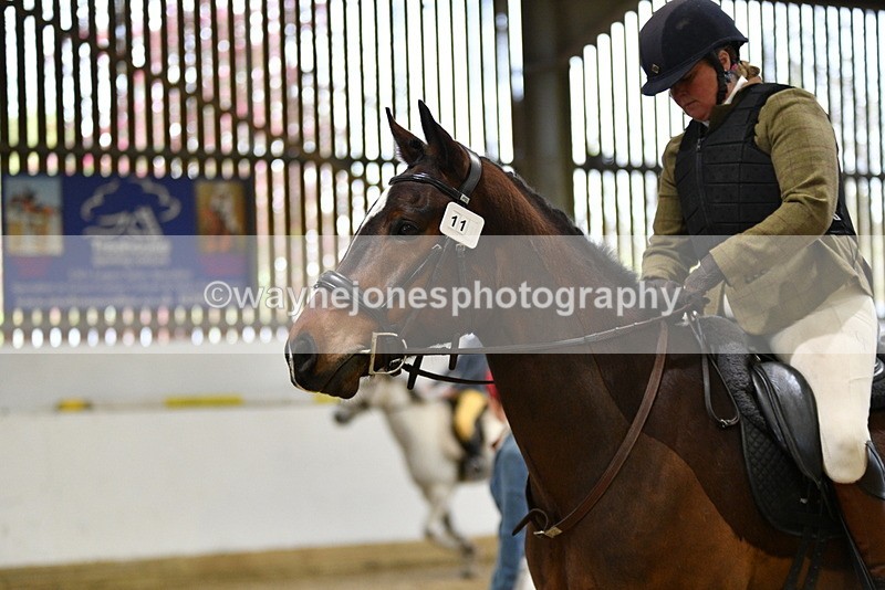 WJ5_7932 - Class 13 Ridden Part Breed