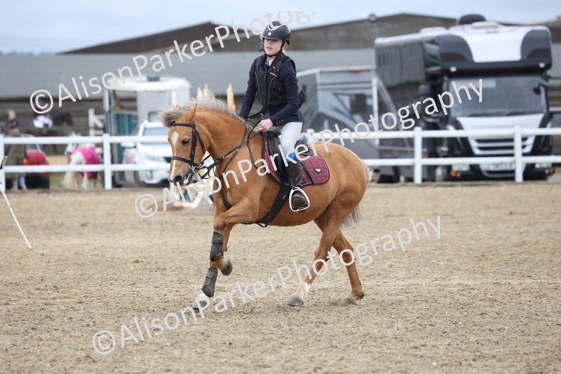 20260403-0893 - Class 3 - 60cm