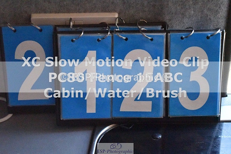 ESP_2123 - 2123-Beatrice.Stone-Coffeys.Night.Striker