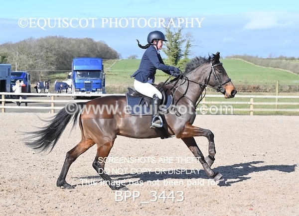BPP_3443 - CLASS 4 Senior British Novice/ 90cm Open