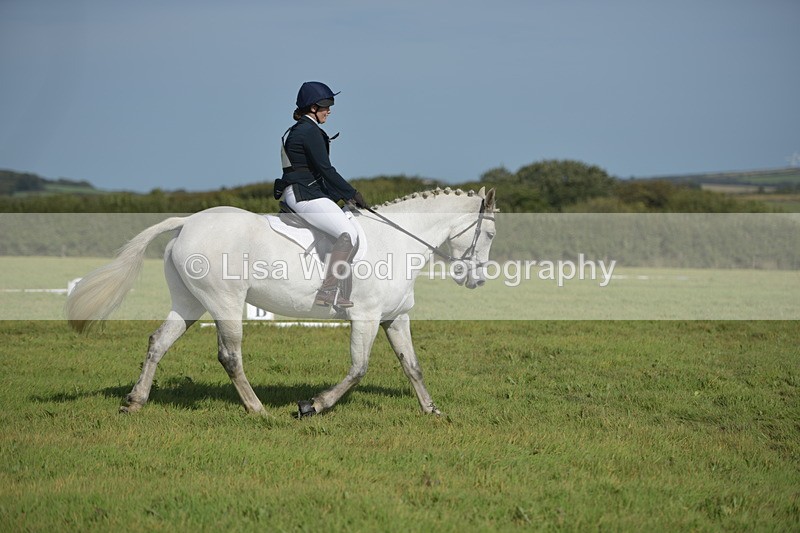 RAY_8123 - Class 2B: Trekenning Open: Dressage