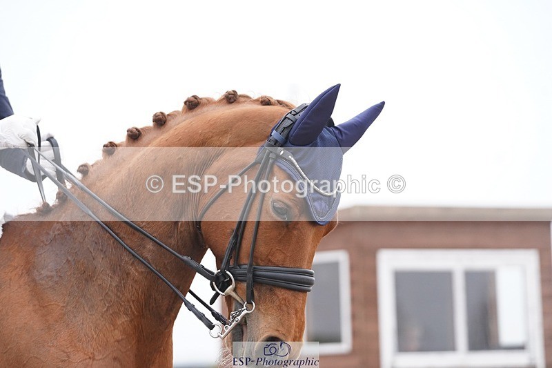 250404-094124-04099 - 004-Sara-Jane.Lanning-Hawtins.Lirica