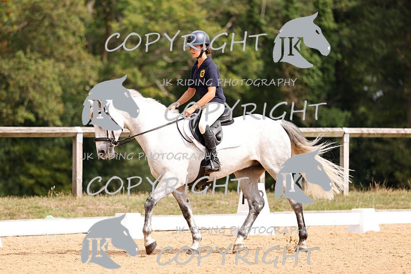 _R6A2758 - Dressage Morning