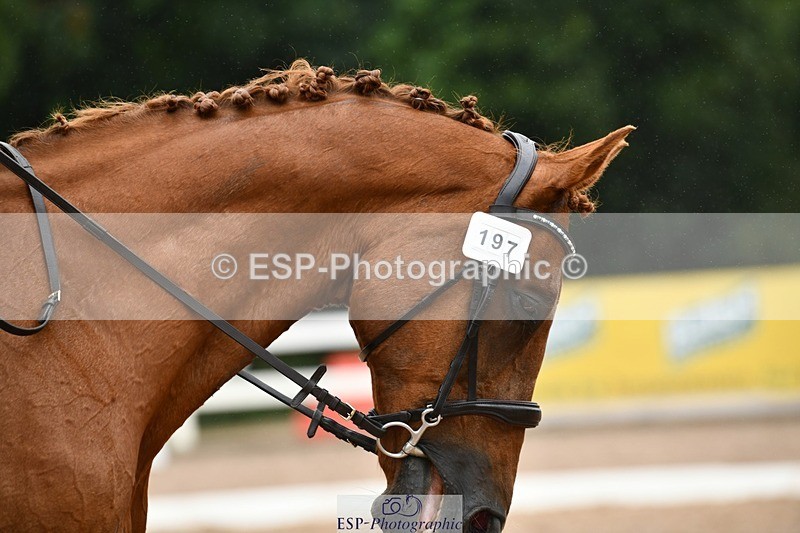 250705-132003-04640 - P1 Sections BDP1SNR, BDP1JNR 12.47 to 13.59