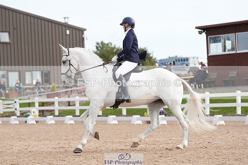 250906-101432-01456 - 002-Claire.JonesOwl.House.Rebel