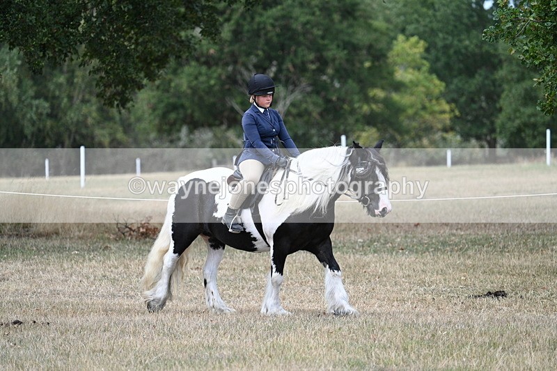 WJ7_4657 - Class 12 Ridden Cob