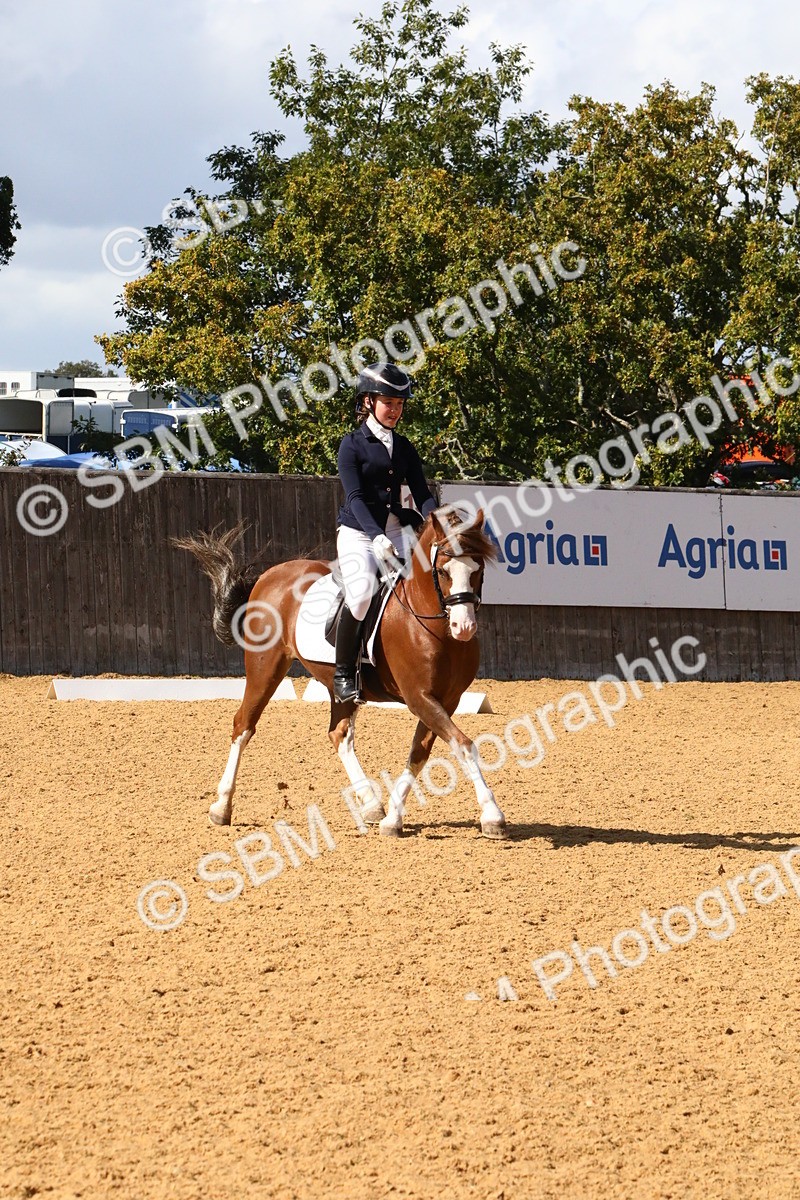 SBM_23495 - D5 - Small Tour Championshop Intro 2