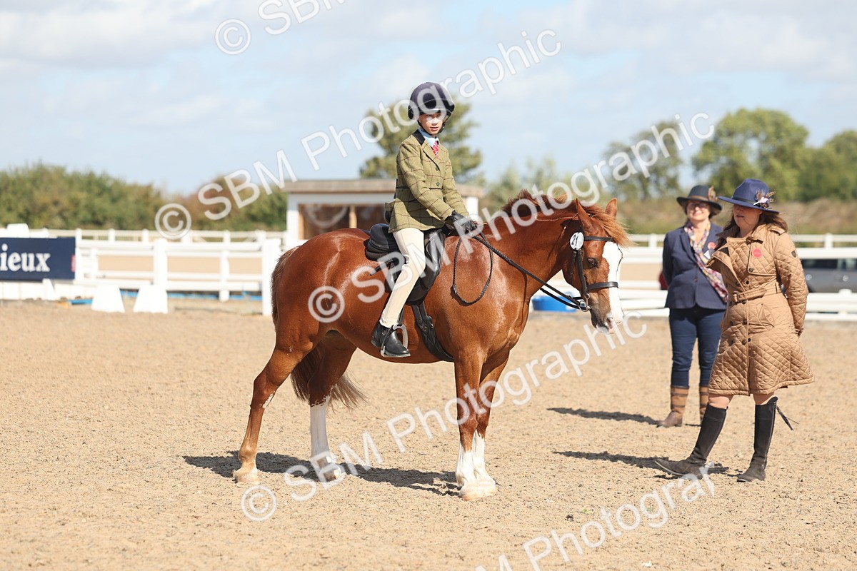 SBM_23066 - Class 806 - Young Rider 10ry and Under