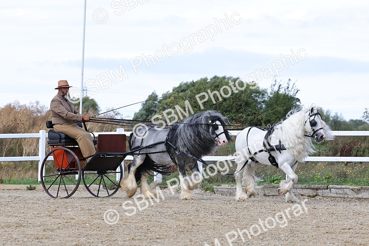 SBM_001158 - Class 16 - Pairs ,Multiples and Tandems