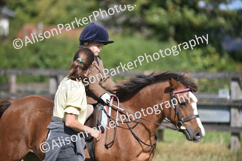 20260906-0994 - Class 7 - Absolute Novice Jumping 35cm