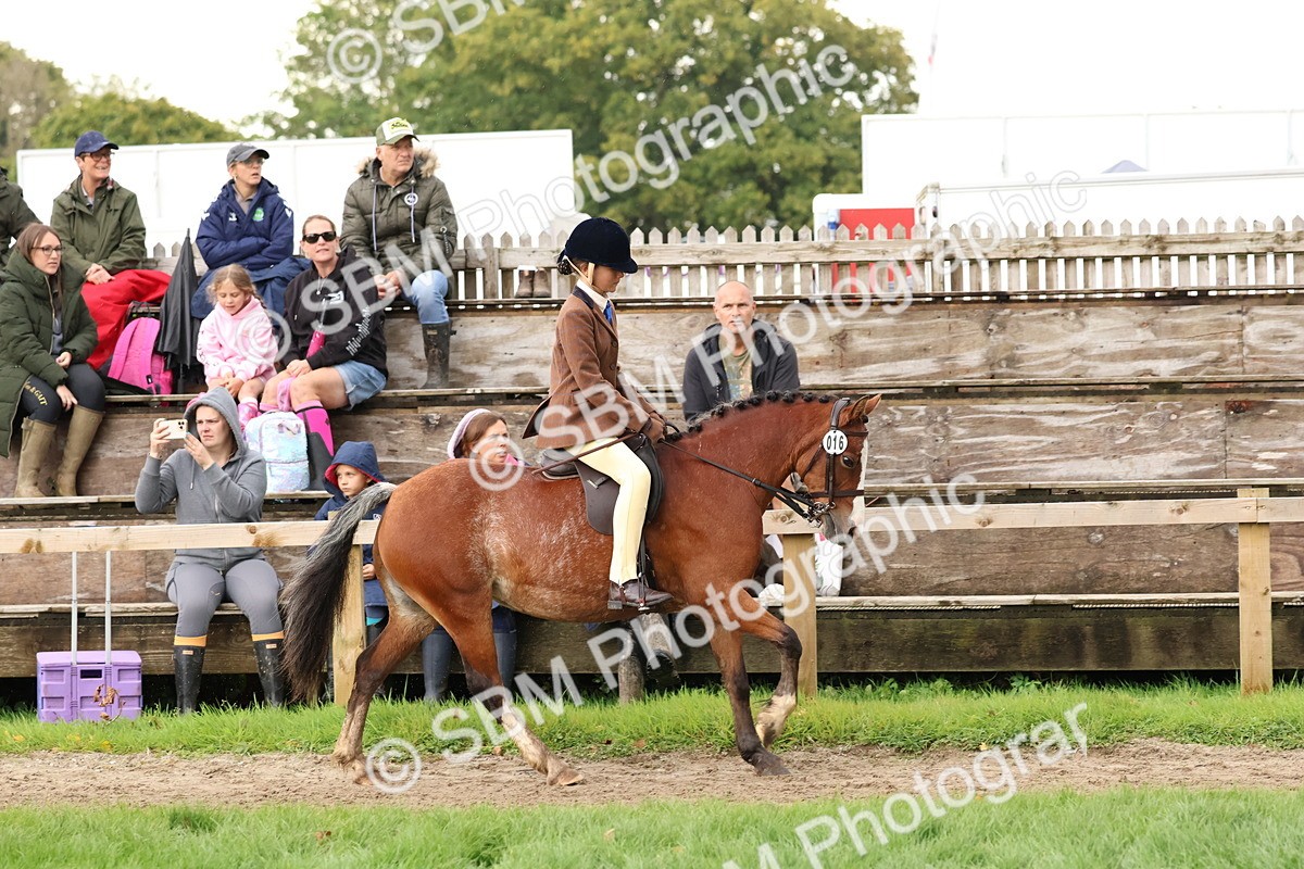 SBM_44982 - S27 - Young Veteran Ridden