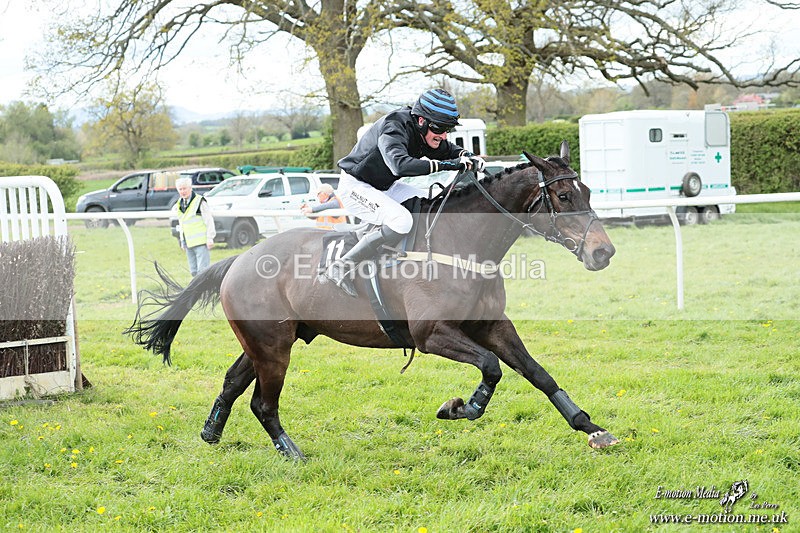 PtP 180426 570 - Worcestershire Hunt PtP Chaddesley Corbett 18/04/26