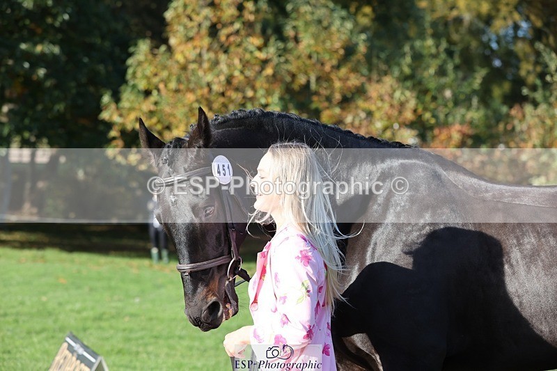 241027-094613-15494 - 451-Tabitha.Stephenson-GRANDPAS.GIFT