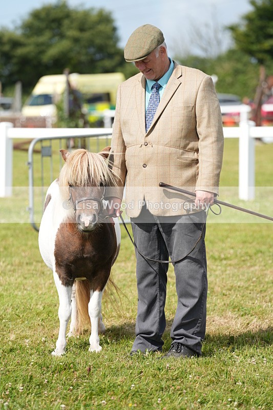 DSC05362 - Class 49: NPS Shetland 4 years and over