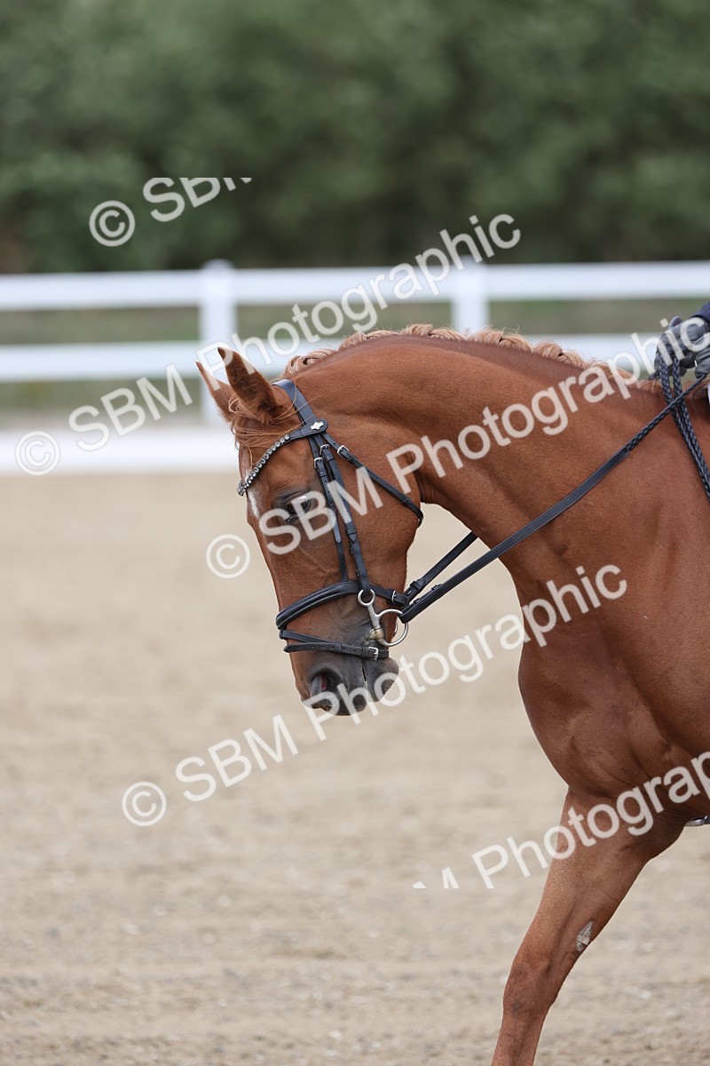 SBM_003797 - Class 9 - Novice 3 Champs