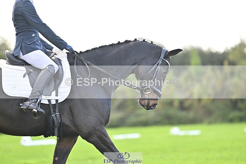 241025-094314-05611 - 353-Cheryl.Beer-LANGALLER.ALPHA.BRAVO