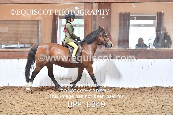 BPP_0249 - RING 1