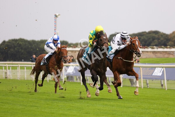 yr07102022r1-23 - Race 1 2.05pm Parsonage Hotel and Cloisters Spa Stakes