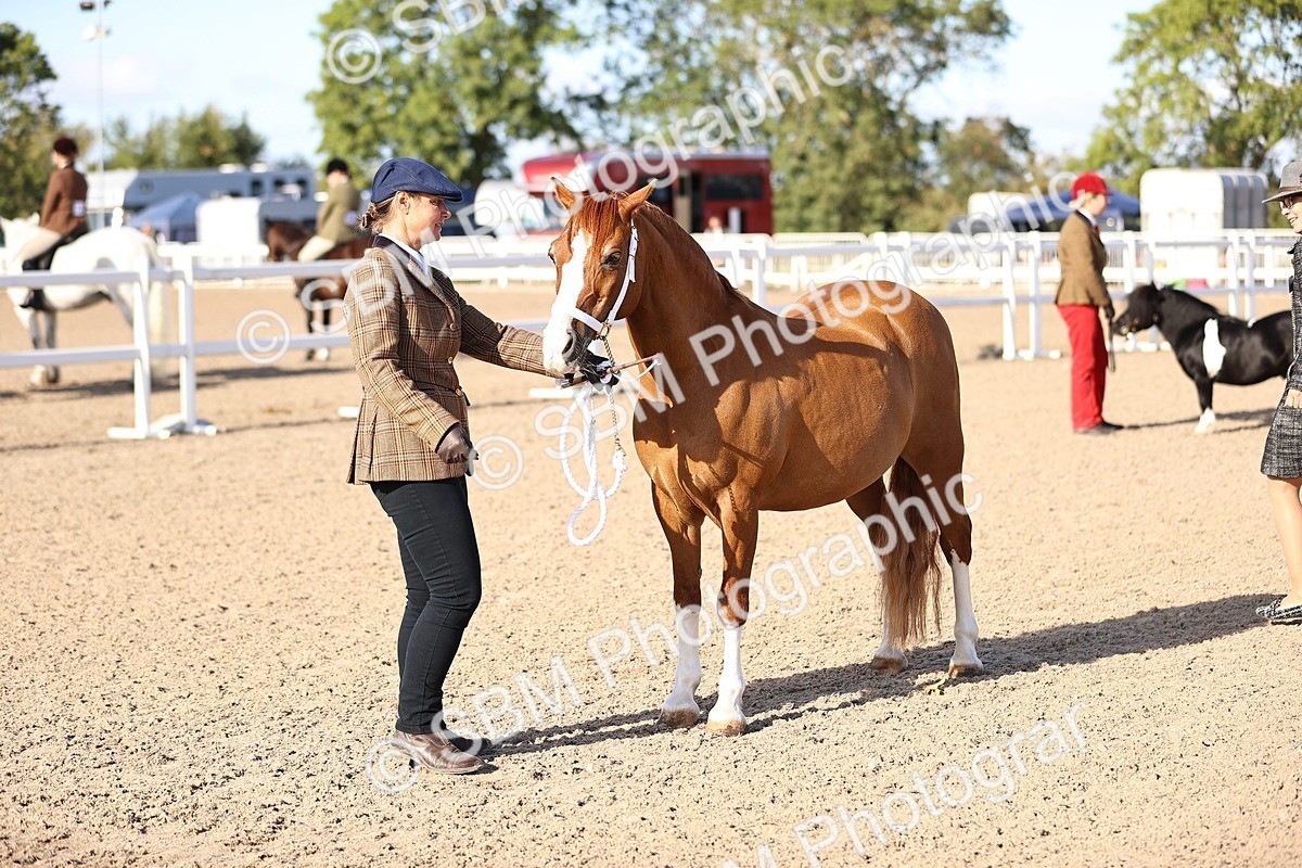 SBM_08500 - Class 402 - IH Veteran Pony