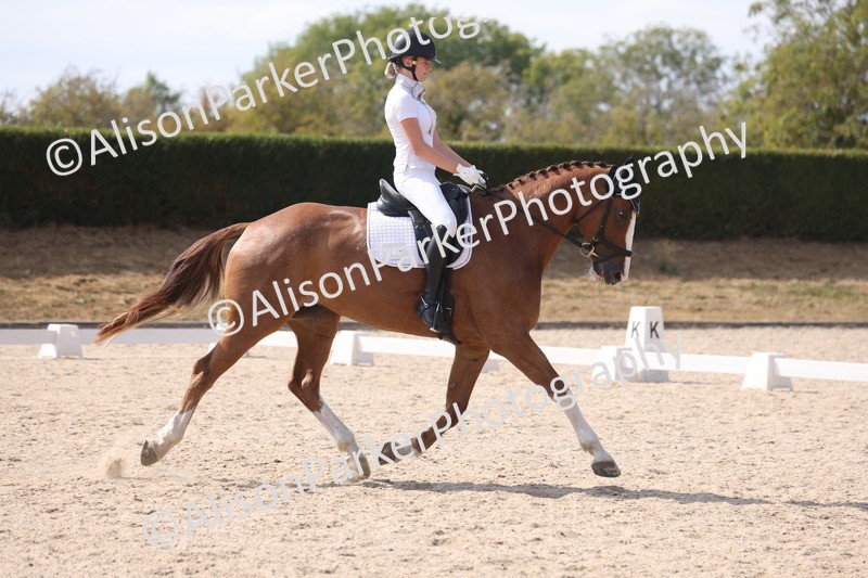 20260815-1139 - Class 6 - Novice 2