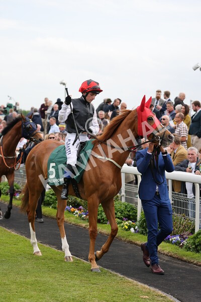 yr13052022r4-31 - Race 4 3.35pm The Paddy Power Yorkshire Cup (British Champions Series Race)