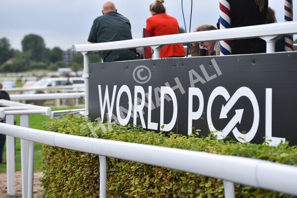 yr18082022r4-24 - Race 4 3.35pm Darley Yorkshire Oaks (British Champions Series Race)
