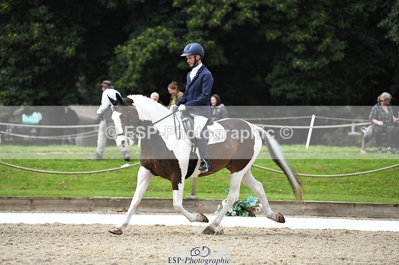 230812-123235-04141 - Cls 6 Novice Silver 12.10 to End