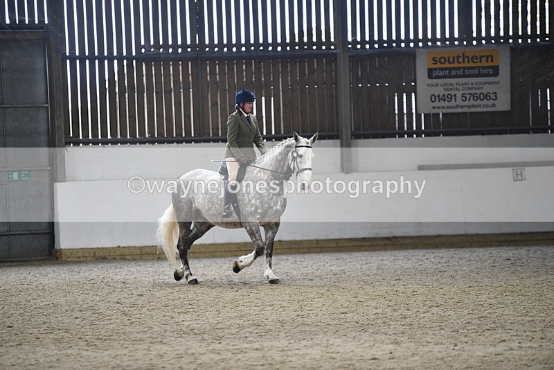 WJ5_8230 - Class 14 Novice Ridden/Rider
